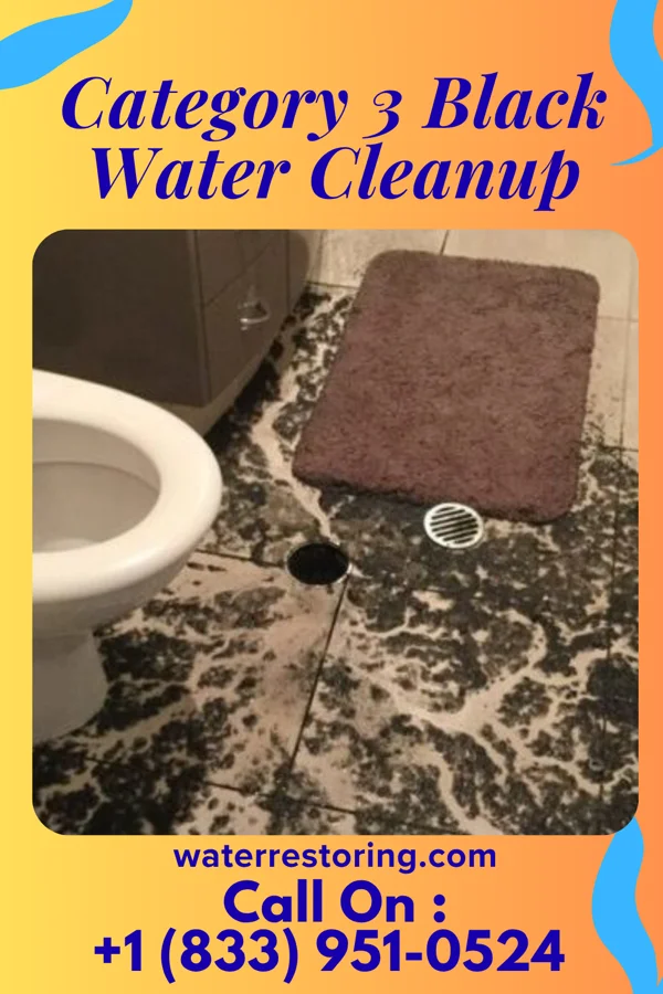 Category 3 Black Water Cleanup in Dix, NE